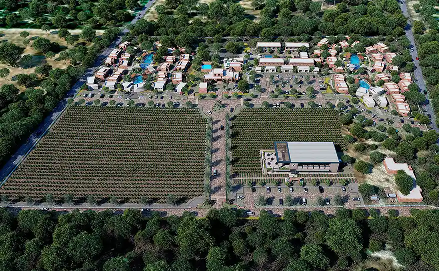 Viñedo en Nuevo León